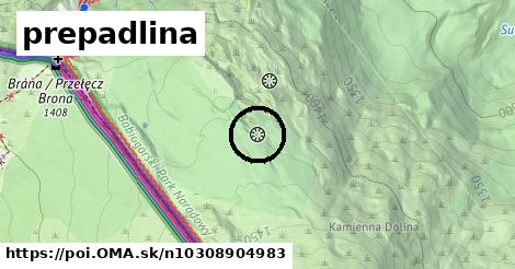 prepadlina