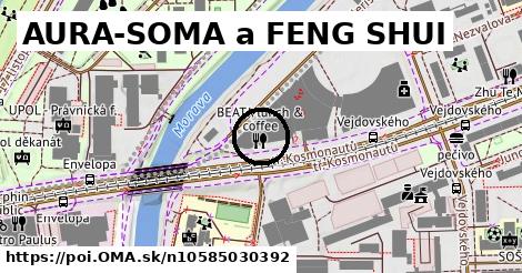 AURA-SOMA a FENG SHUI