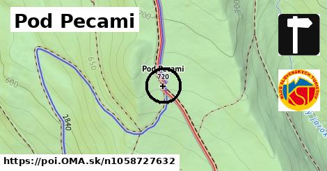 Pod Pecami