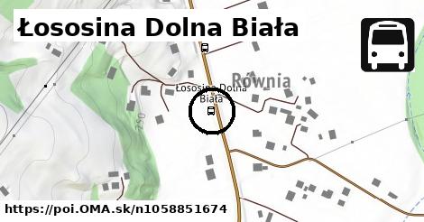 Łososina Dolna Biała