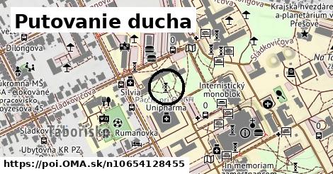 Putovanie ducha