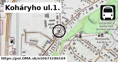 Koháryho ul.1.