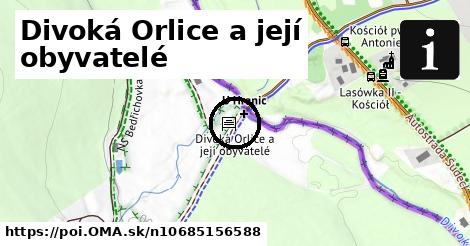 Divoká Orlice a její obyvatelé