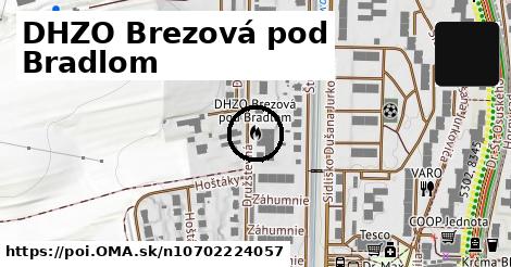 DHZO Brezová pod Bradlom