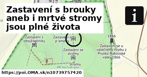 Zastavení s brouky aneb i mrtvé stromy jsou plné života