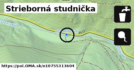 Strieborná studnička