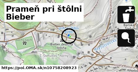 Prameň pri štôlni Bieber