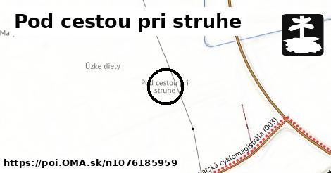 Pod cestou pri struhe