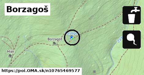 Borzagoš