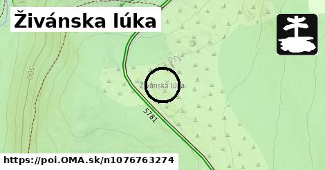 Živánska lúka