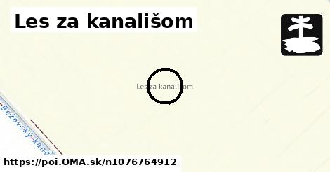 Les za kanališom