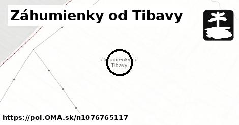 Záhumienky od Tibavy