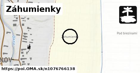 Záhumienky