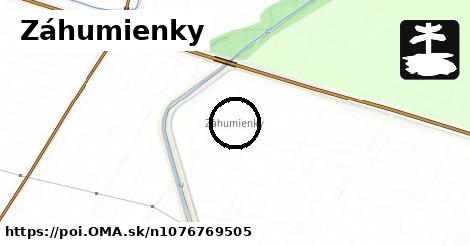 Záhumienky