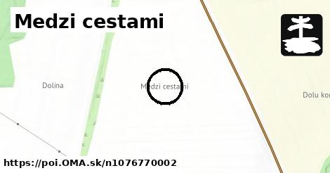 Medzi cestami