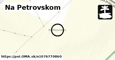 Na Petrovskom