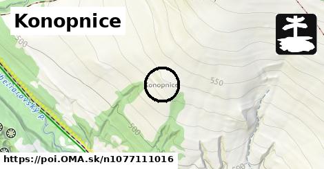 Konopnice