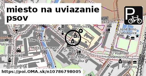 miesto na uviazanie psov