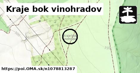 Kraje bok vinohradov