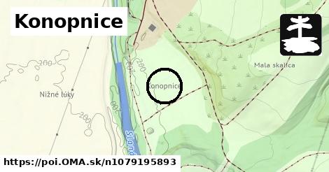 Konopnice