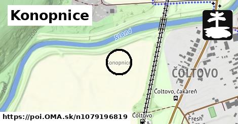 Konopnice