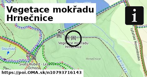 Vegetace mokřadu Hrnečnice