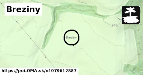 Breziny