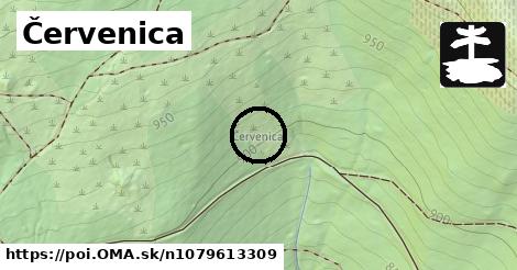 Červenica