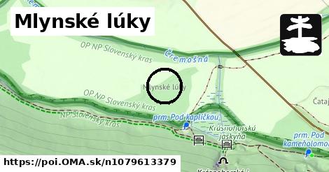 Mlynské lúky