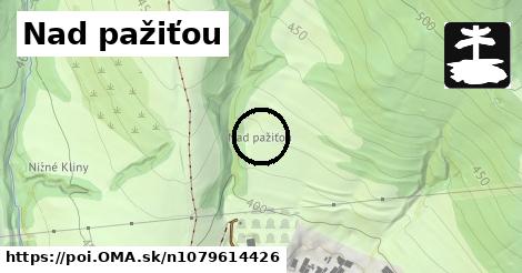 Nad pažiťou