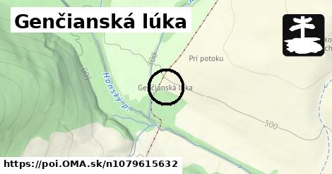 Genčianská lúka