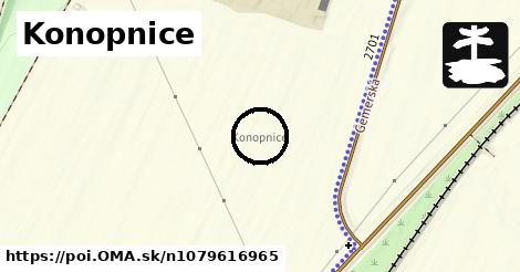 Konopnice