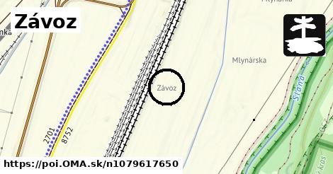 Závoz