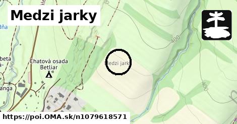 Medzi jarky