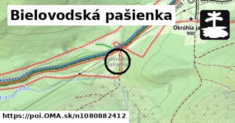 Bielovodská pašienka