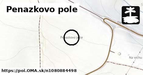 Penazkovo pole