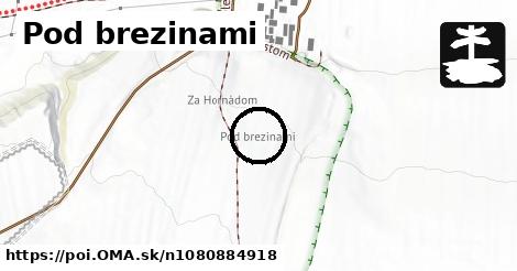 Pod brezinami