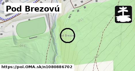 Pod Brezovú