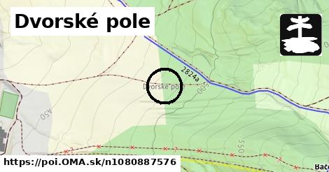 Dvorské pole