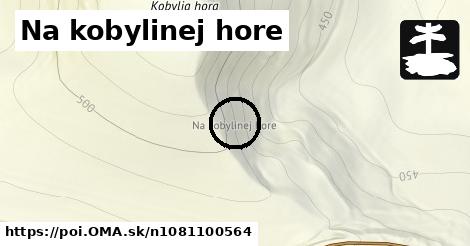 Na kobylinej hore