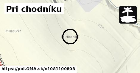 Pri chodníku