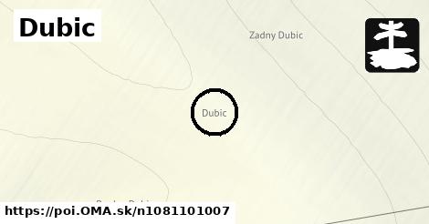 Dubic