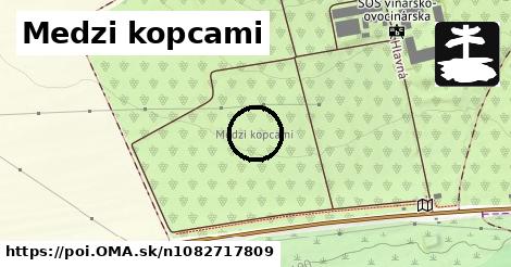 Medzi kopcami