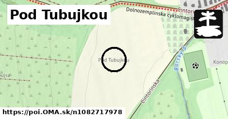 Pod Tubujkou