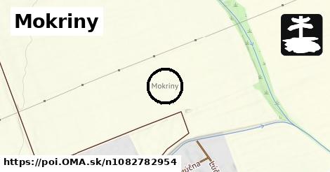 Mokriny