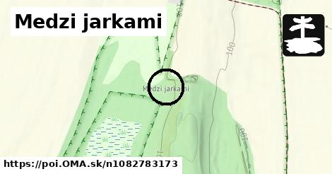 Medzi jarkami