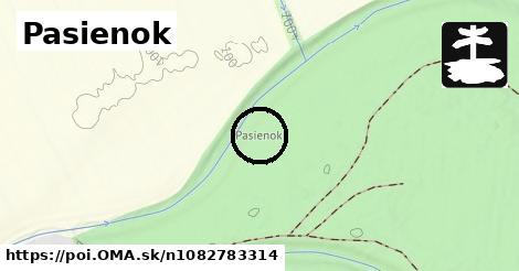 Pasienok