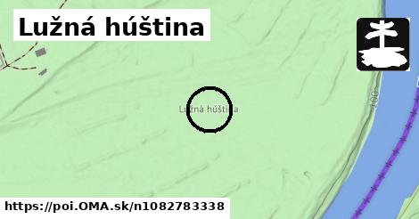 Lužná húština