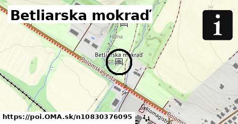 Betliarska mokraď