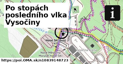 Po stopách posledního vlka Vysočiny